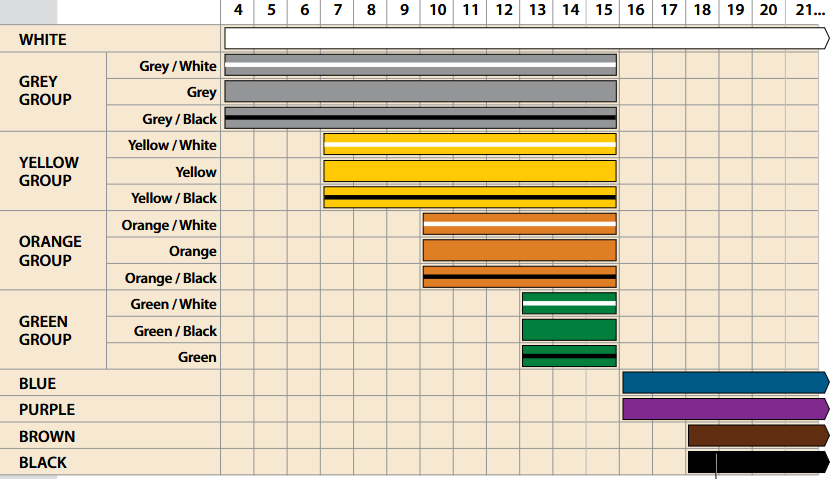 Northstar Jiu Jitsu belt progression chart by age: white, grey, yellow, orange and green belt groups spanning ages 4 to 15, then blue, purple, brown and black belts from age 16 and up