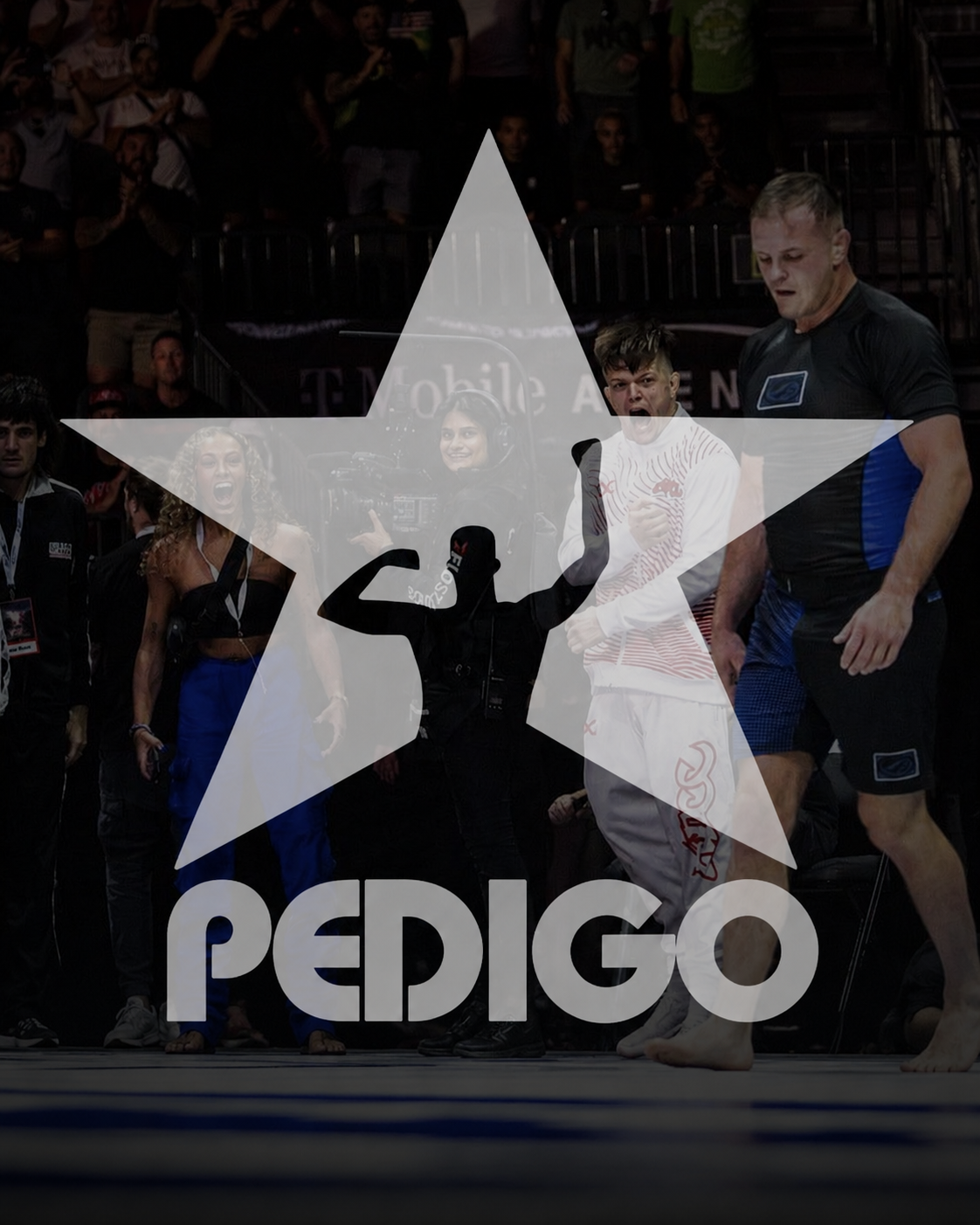 Pedigo Submission Fighting — competition-tested no-gi grappling
