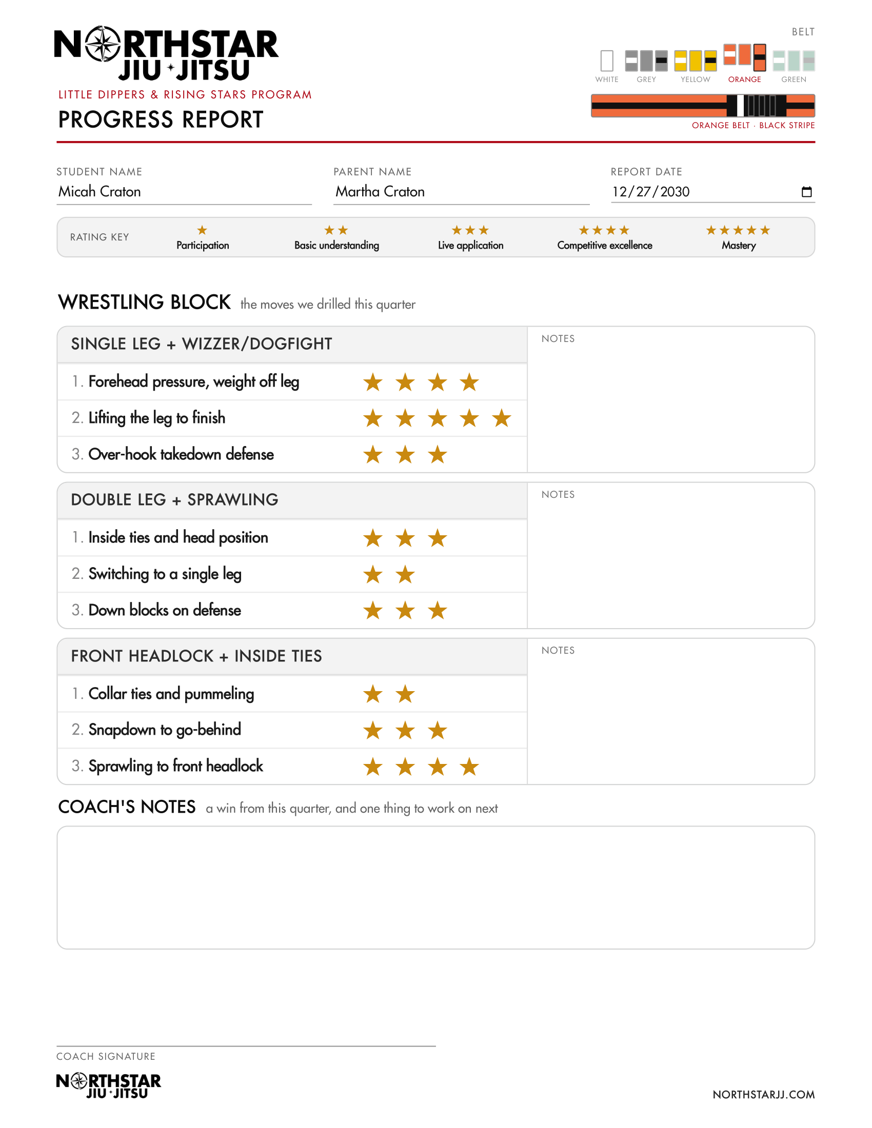 Example Northstar Jiu Jitsu progress report showing belt and stripe progress, the five-star rating scale from participation to mastery, and a star rating for each wrestling skill drilled